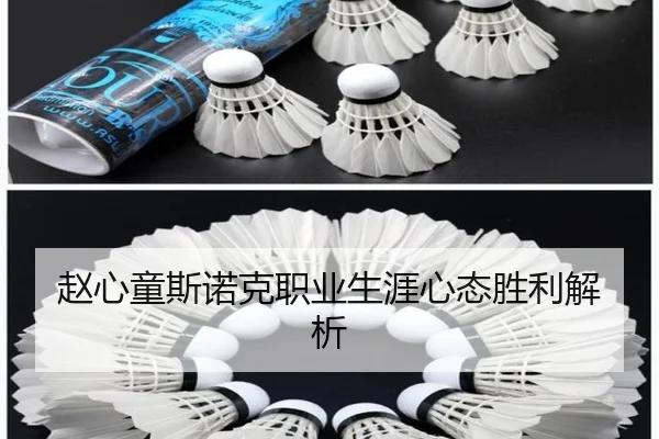 赵心童斯诺克职业生涯心态胜利解析